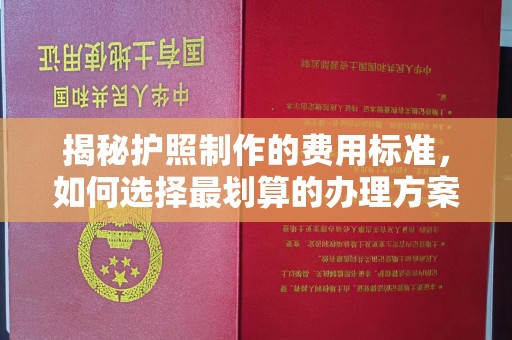 松原揭秘护照制作的费用标准，如何选择最划算的办理方案？